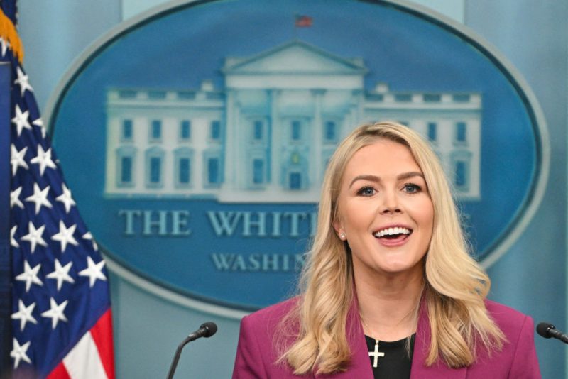 White House Press Secretary Karoline Leavitt speaks during the daily briefing in the Brady Briefing Room of the White House in Washington, DC, on January 28, 2025. (Photo by ROBERTO SCHMIDT / AFP) (Photo by ROBERTO SCHMIDT/AFP via Getty Images)