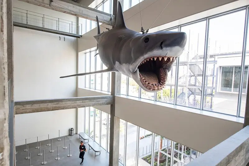 "Bruce" the animatronic shark from the movie Jaws is displayed inside the Academy Museum Of Motion Pictures during the opening press event, in Los Angeles, California, September 21, 2021. (Photo by VALERIE MACON / AFP) (Photo by VALERIE MACON/AFP via Getty Images)