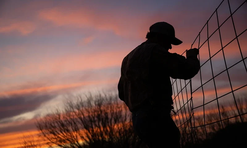QUEMADO, TEXAS - FEBRUARY 22: Farmer Randy Edwards, 64, fixes a broken barn fence on February 23, 2023 in Quemado, Texas. The valley's dry spell continues creating financial challenges for the Edwards' as demand climbs and resources become increasingly scarce due to a lack of rainfall in the region. "Cindy has already used her year's budget on hay for her lambs, and its only February. We're now supplementing with hay because the fields aren't producing-which is costly," said Edwards. Agriculture and livelihood along the Rio Grande is undergoing severe drought conditions as record-high dry spells continue straining the region. An increasingly arid climate and a growing population along the Southern border has signified and raised concerns on the severity, regularity and duration of naturally occurring droughts in the region. (Photo by Brandon Bell/Getty Images)