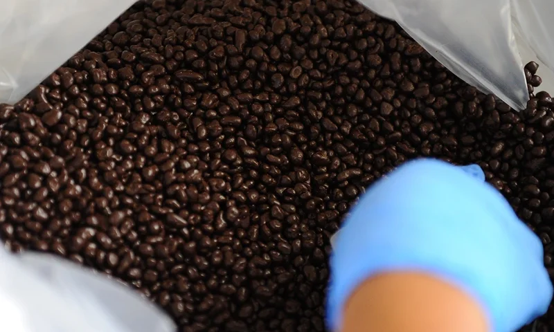 View of cocoa beans covered with chocolate at Ecuadorean Pacari chocolate factory in southern Quito, on March 25, 2014. Pacari Chocolates is a family-owned company which produces gourmet-quality chocolate with native flavours and has won several international awards. AFP PHOTO / RODRIGO BUENDIA (Photo credit should read RODRIGO BUENDIA/AFP via Getty Images)