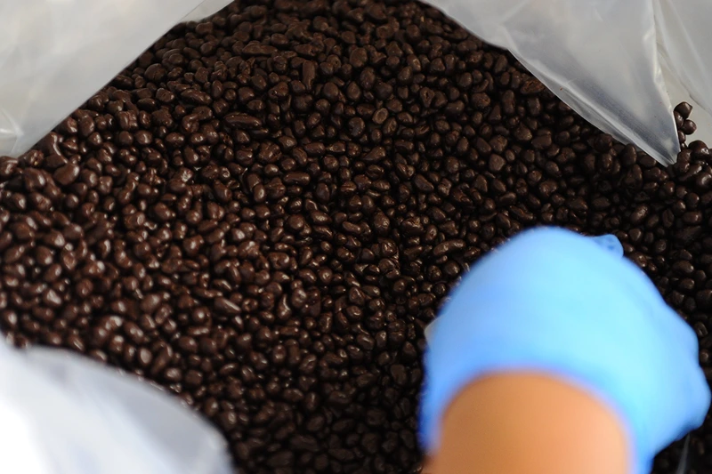 View of cocoa beans covered with chocolate at Ecuadorean Pacari chocolate factory in southern Quito, on March 25, 2014. Pacari Chocolates is a family-owned company which produces gourmet-quality chocolate with native flavours and has won several international awards. AFP PHOTO / RODRIGO BUENDIA (Photo credit should read RODRIGO BUENDIA/AFP via Getty Images)