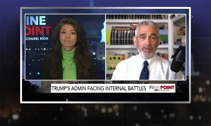 Video still from Fine Point on One America News Network showing a split screen of the host on the left side, and on the right side is the guest, Lee Smith.