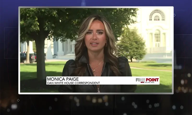 Video still from Fine Point on One America News Network during an interview with the guest, Monica Paige.