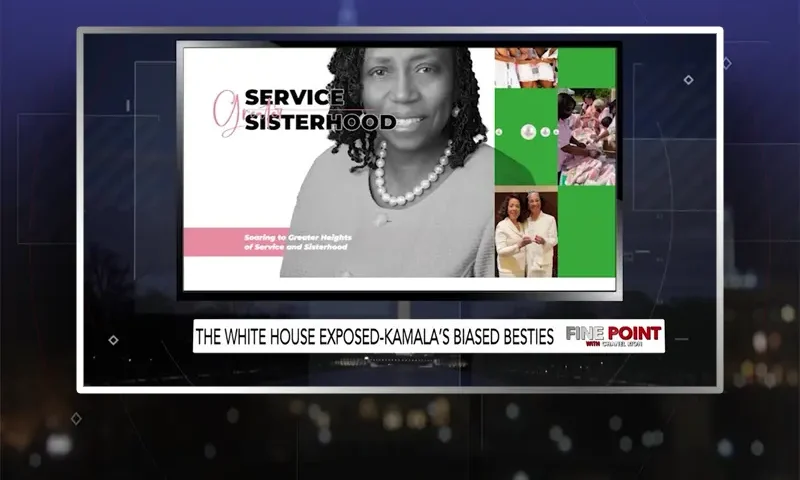 Video still from Fine Point on One America News Network