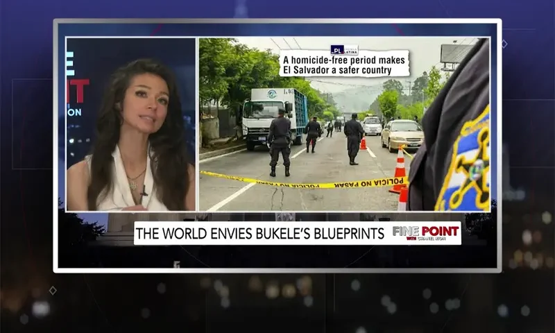 Video still from Fine Point on One America News Network
