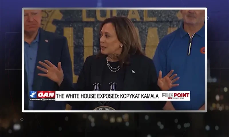 Video still from Fine Point on One America News Network
