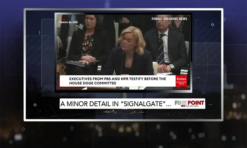 Video still from Fine Point on One America News Network