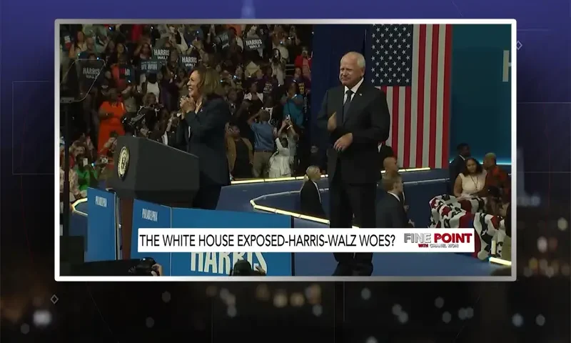 Video still from Fine Point on One America News Network